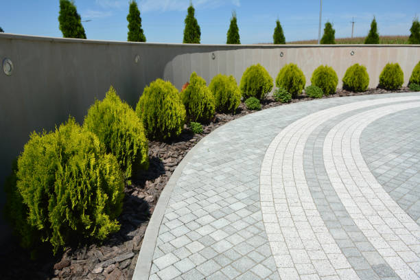 Best Driveway Paving Near Me  in Lebanon, MO